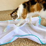 Sheer Fun Cat Toy (On Sale! Ends 10/25)