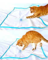 Sheer Fun Cat Toy (On Sale! Ends 10/25)