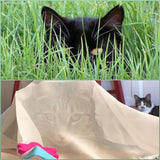 Sheer Fun Cat Toy (On Sale! Ends 10/25)