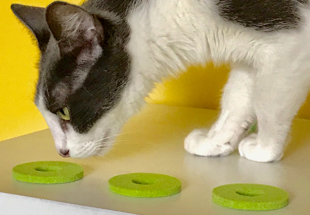 ON SALE!) Fancy Felt Cat Toys (3 Green Round Felts) – Sheer Fun For Cats
