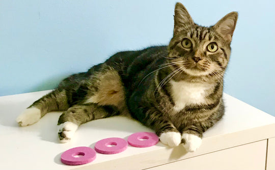 Fancy Felt Toys (3 Pink Round Felts) On sale!